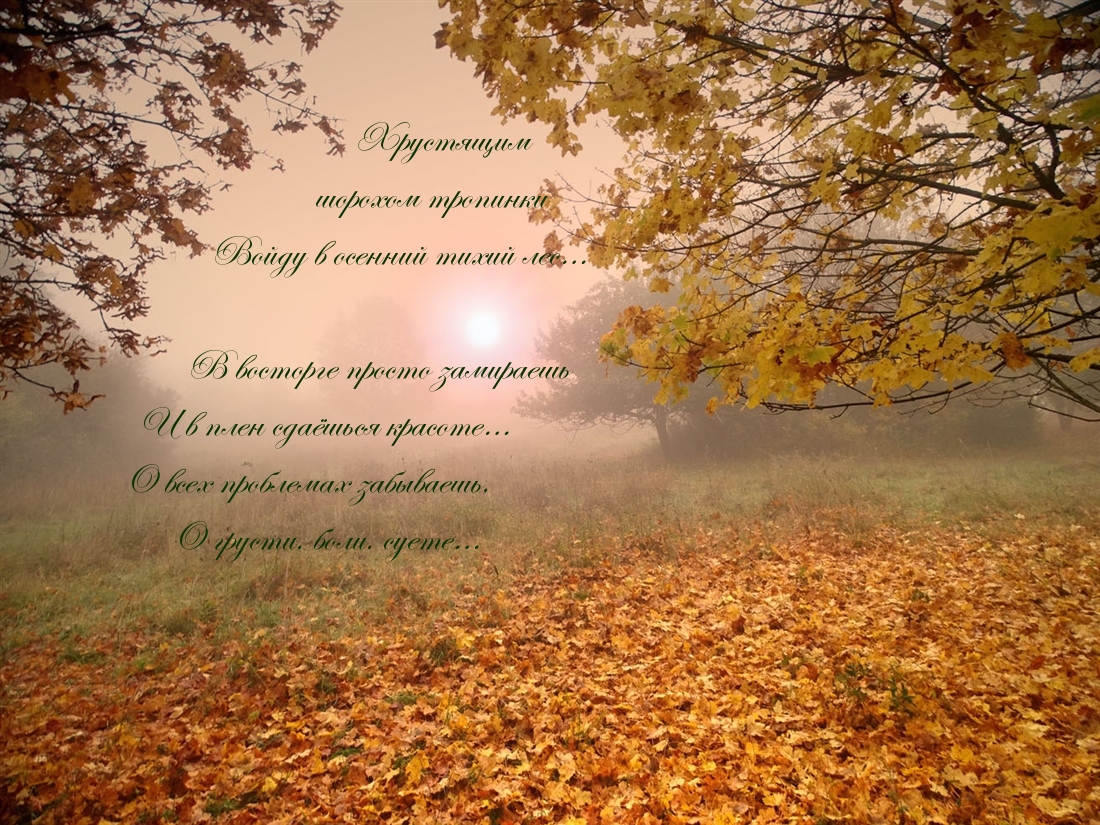 Стихотворене про осенний тихий лес