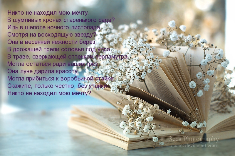 Никто не находил мою мечту