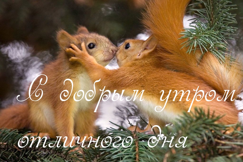 С добрым утром отличного дня