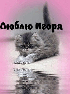 Люблю Игоря