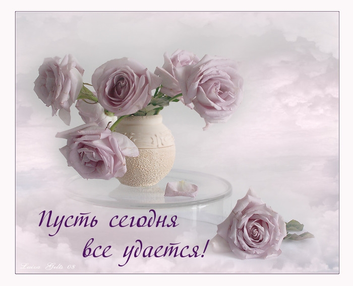 Пусть сегодня все удается!