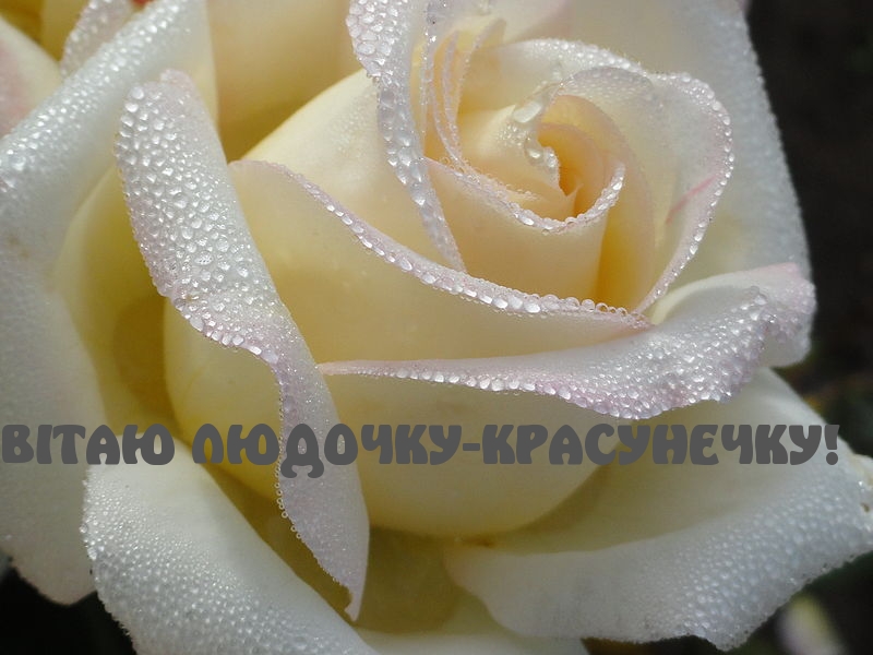 ВІТАЮ ЛЮДОЧКУ-КРАСУНЕЧКУ!