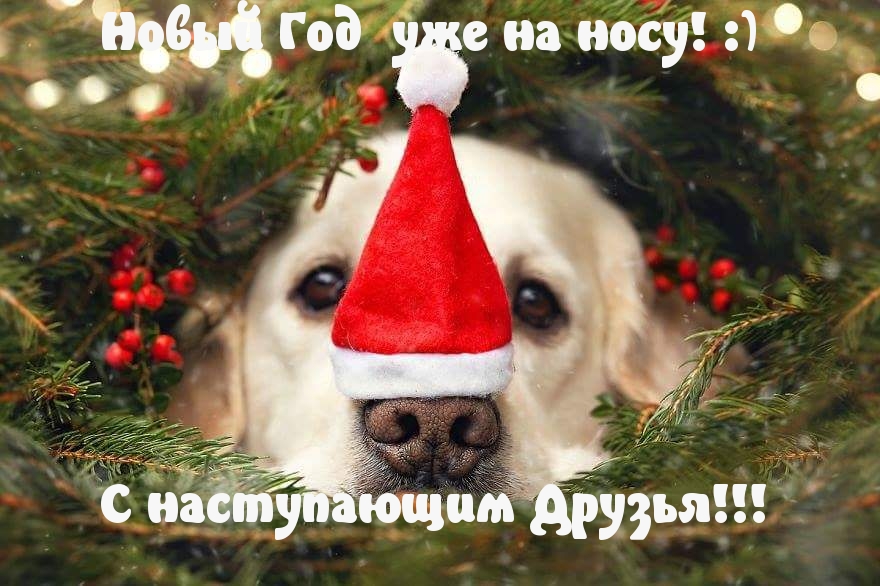 Новый Год  уже на носу