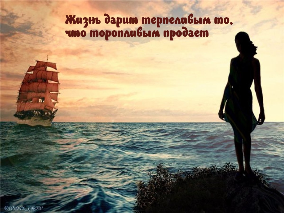 Жизнь дарит терпеливым то,  что торопливым продает