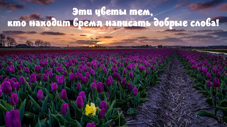 Тем,  кто находит время написать добрые слова