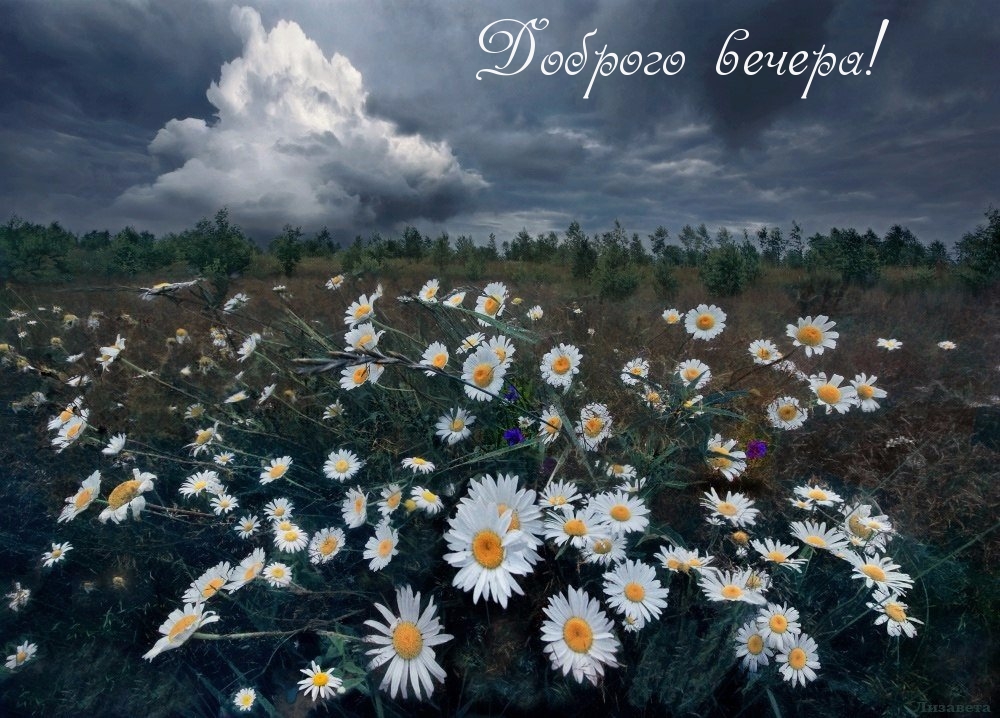 Доброго вечера!