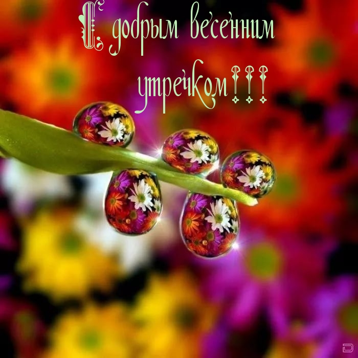 С добрым весенним утречком!!!