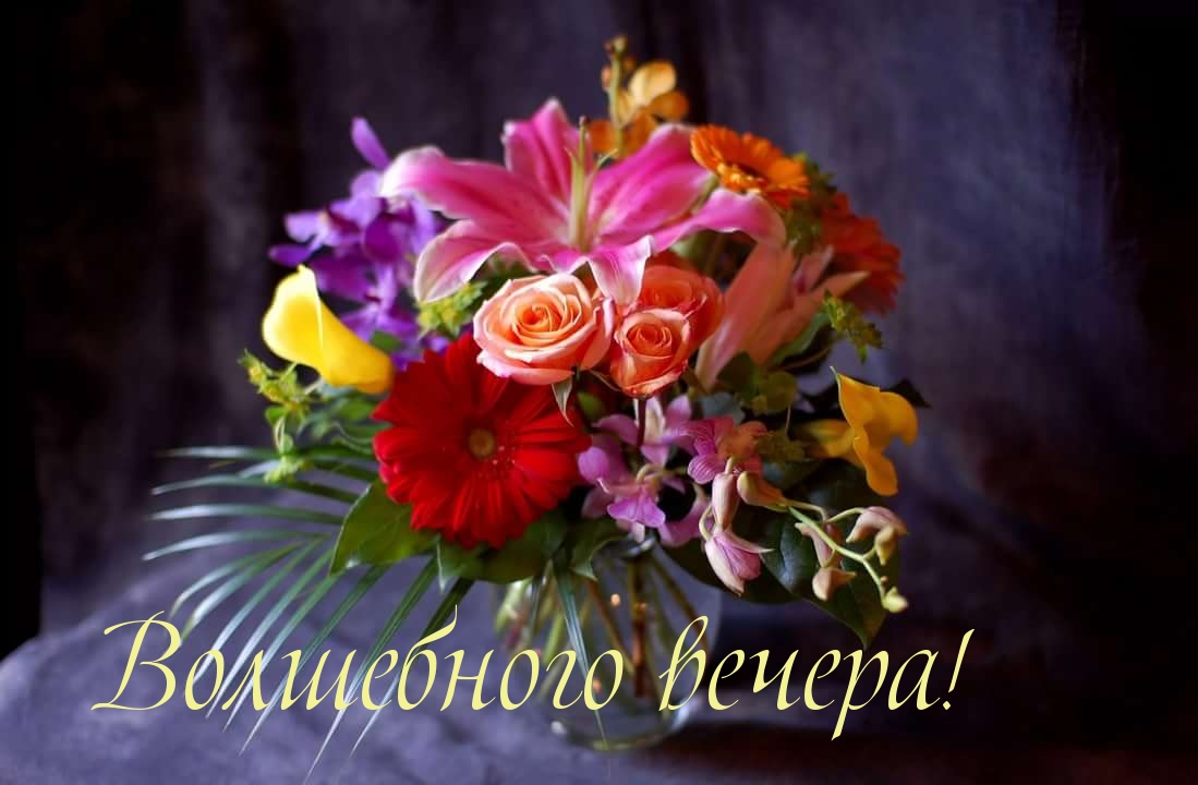 Волшебного вечера!
