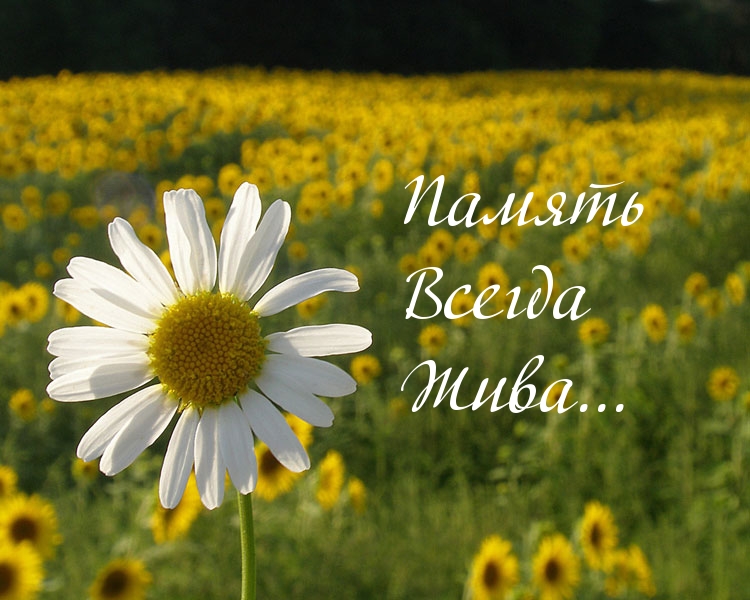 Память Всегда Жива…