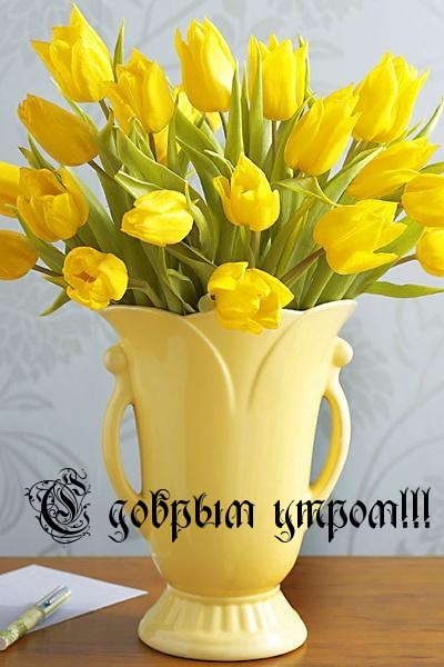 С добрым утром!!!