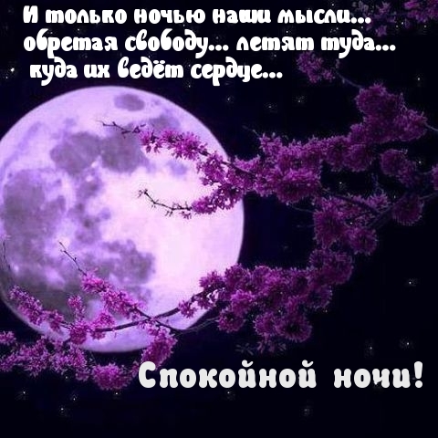 Спокойной ночи!