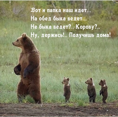 Вот и папка наш идет…