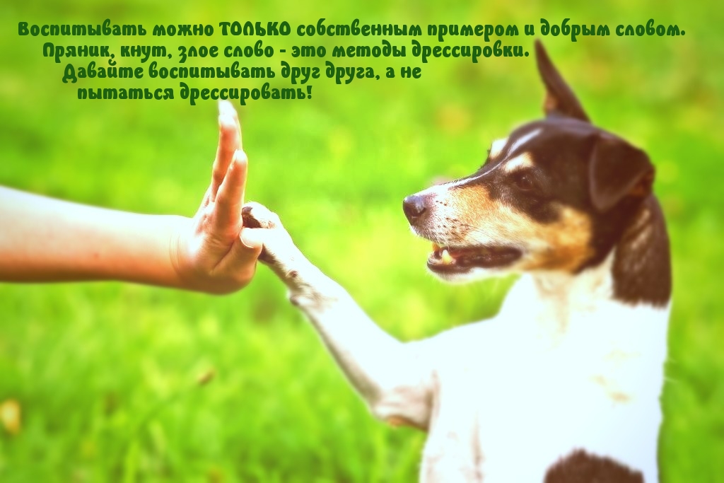 Воспитывать можно ТОЛЬКО собственным примером