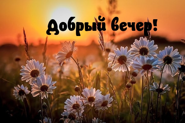 Добрый вечер!