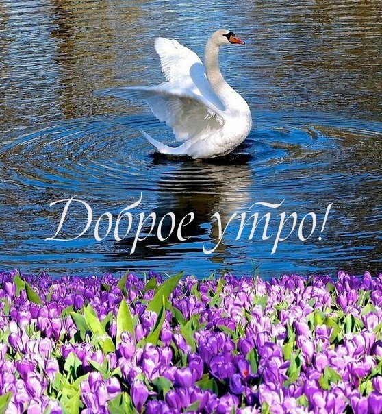 Доброе утро!