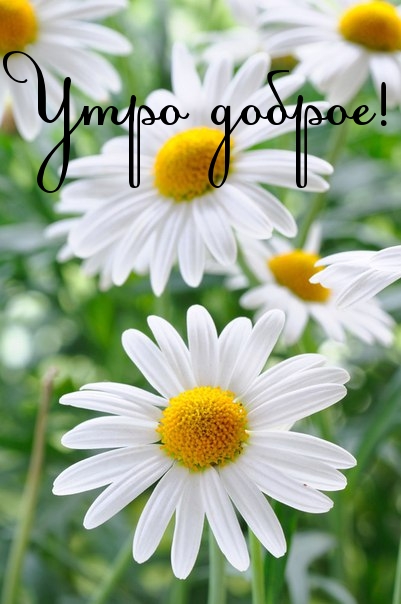 Утро доброе!