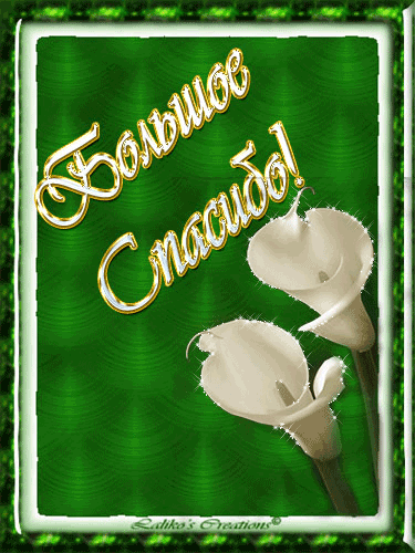 Большое спасибо  — картинки для контакта