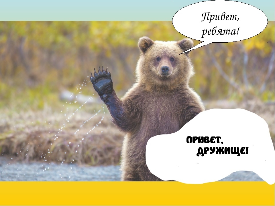 ПРИВЕТ, ДРУЖИЩЕ!