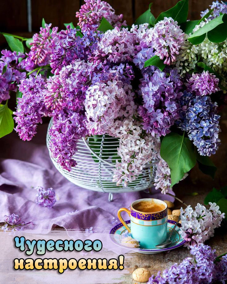 Чудесного вечера!