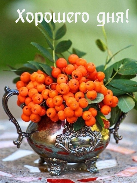 Хорошего дня!