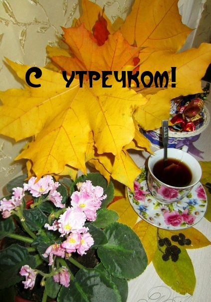 С утречком!