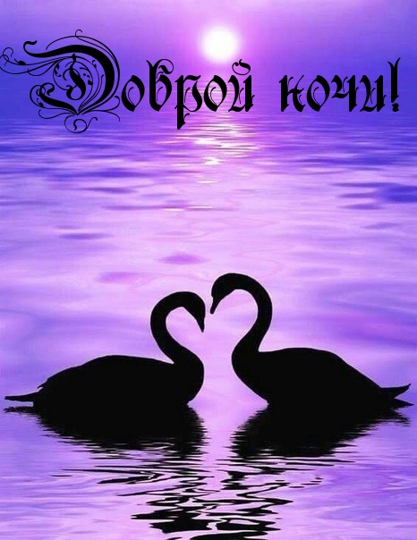 Доброй ночи!