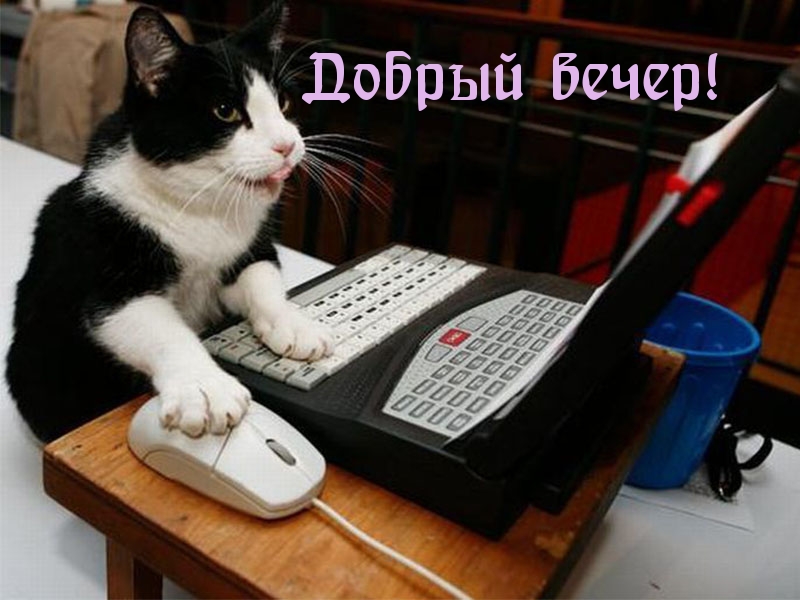 Добрый вечер!