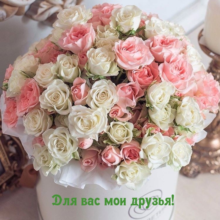 Картинки с надписями.  Для вас мои друзья!.