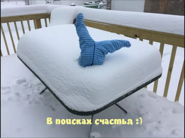 В поисках счастья :)