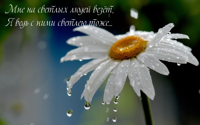 Мне на светлых людей везёт