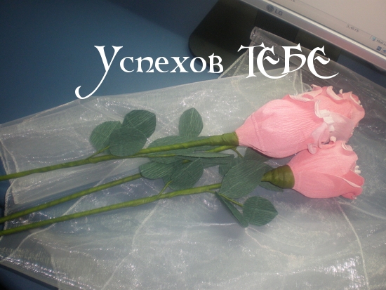 Успехов ТЕБЕ