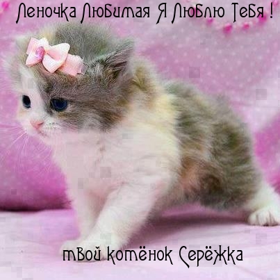 Леночка Любимая Я Люблю Тебя