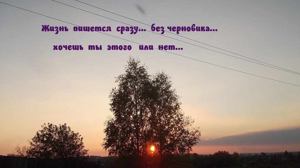Жизнь  пишется  сразу