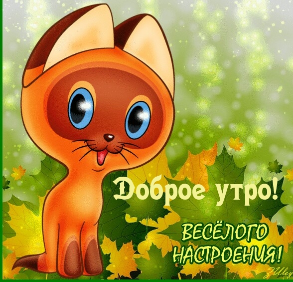 Доброе утро!