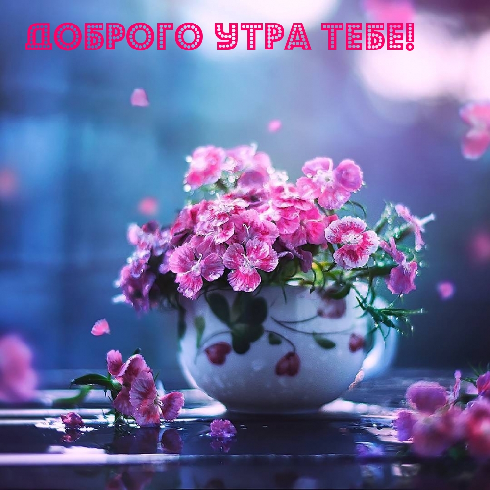 Доброго утра тебе!
