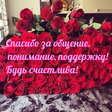 Спасибо за общение, понимание, поддержку