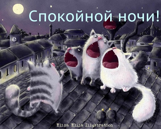 Спокойной ночи! от котиков