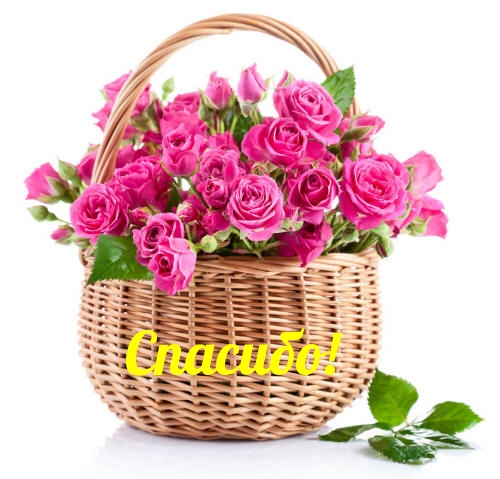 Спасибо! с цветами