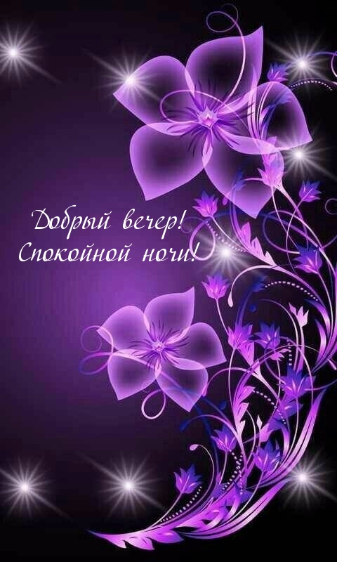 Добрый вечер! Спокойной ночи!