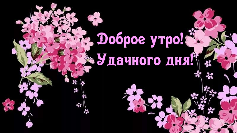 Доброе утро! Удачного дня!