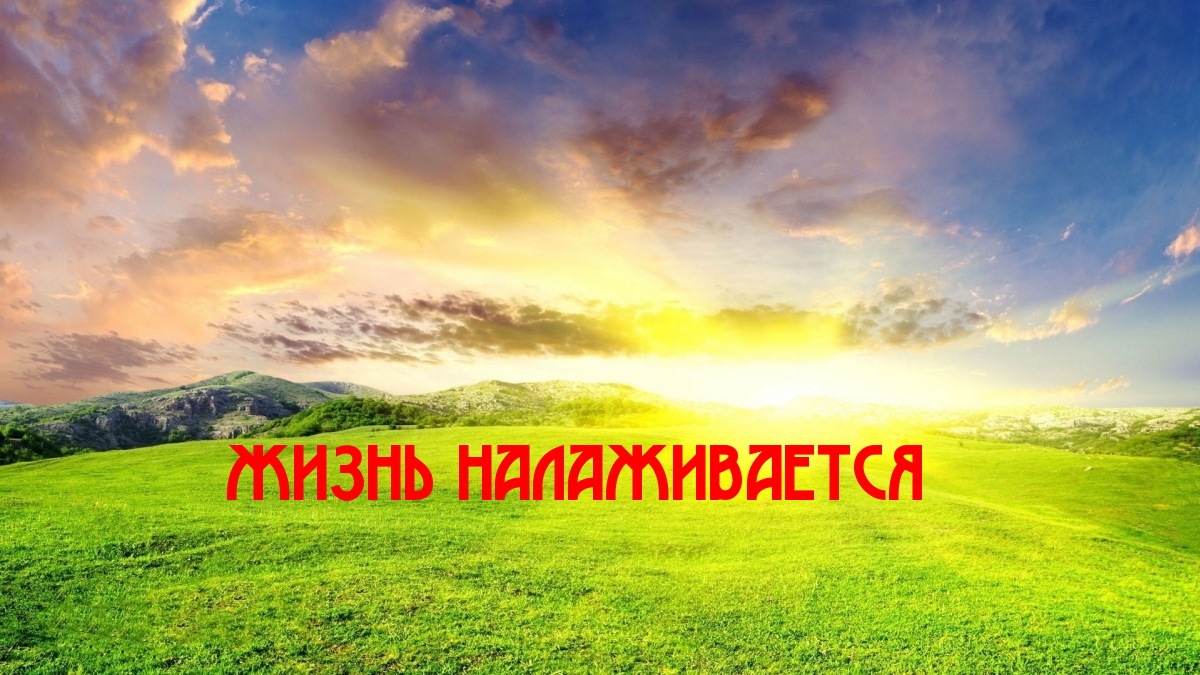 Жизнь налаживается
