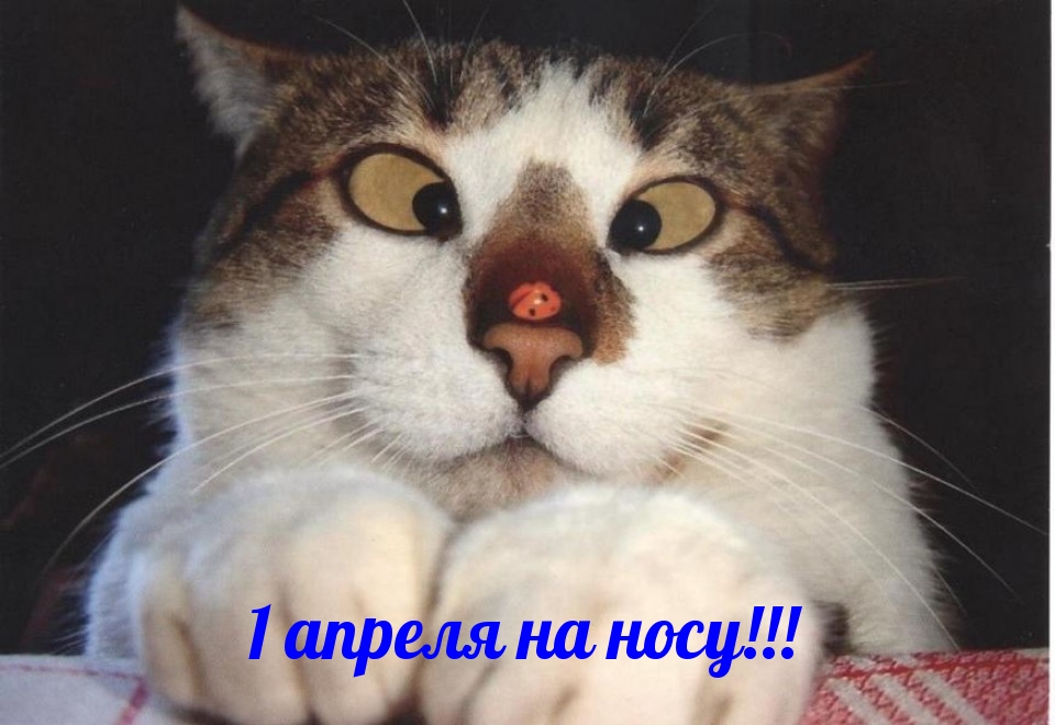 1 апреля на носу!