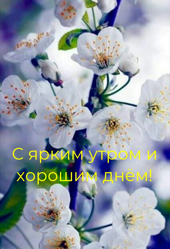 С ярким утром и хорошим днём!