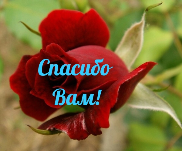 Спасибо Вам!