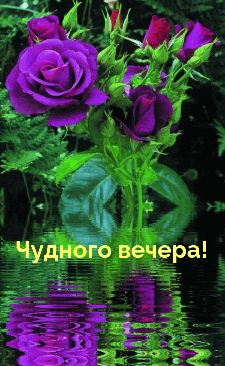 Чудного вечера!