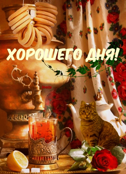 Хорошего дня! Чаепитие с котиком