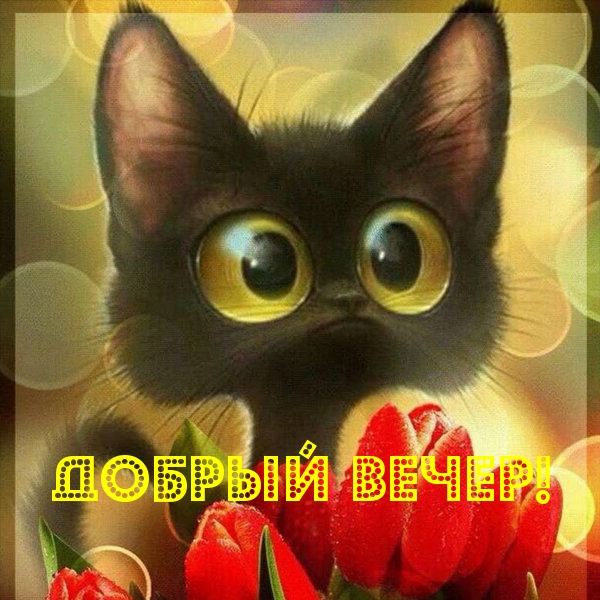 Добрый вечер!