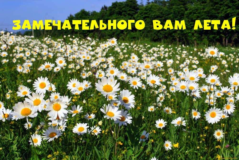 Замечательного Вам лета!