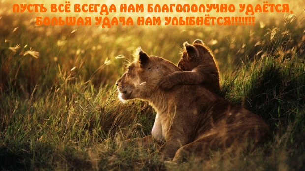 Пусть все всегда нам благополучно удается!