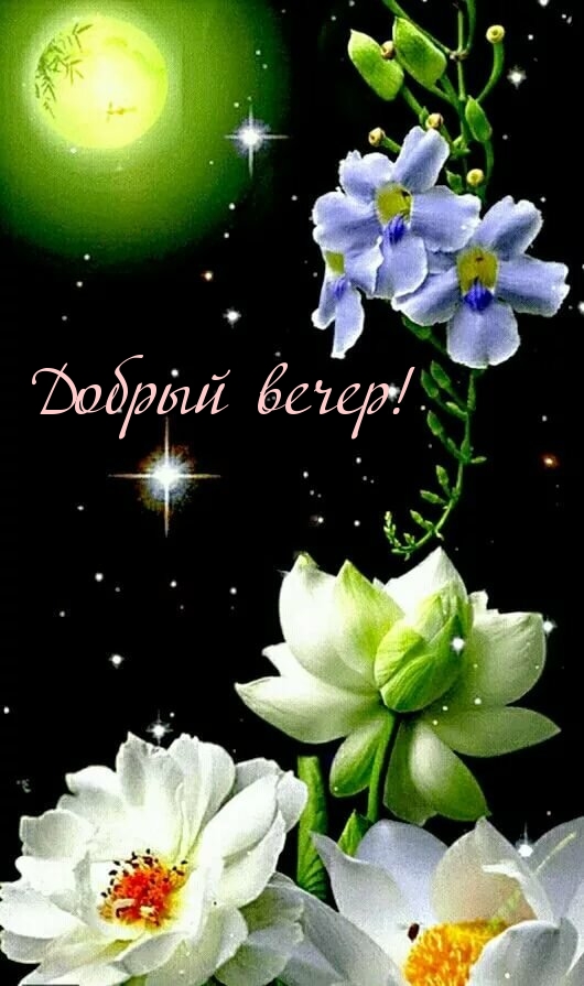 Добрый вечер!